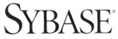 Sybase Partner